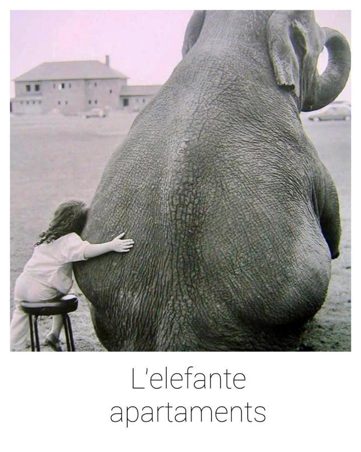 Elefante Appartamenti Pescara Exterior foto